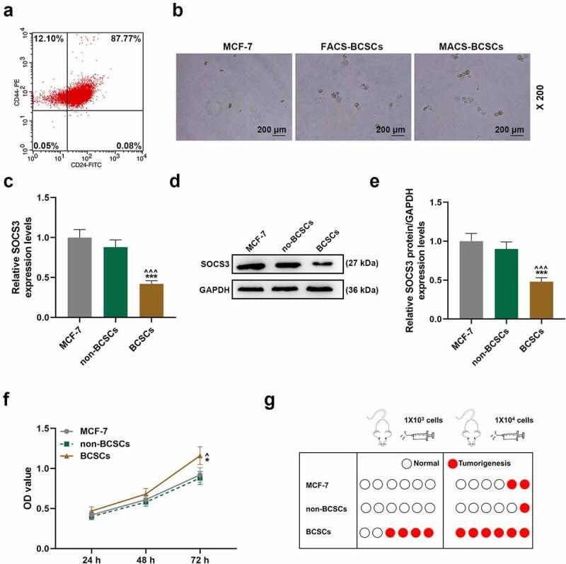 https://cdn.ncbi.nlm.nih.gov/pmc/blobs/e61d/8973955/dabcc500ae09/KBIE_A_2031384_F0002_OC.jpg