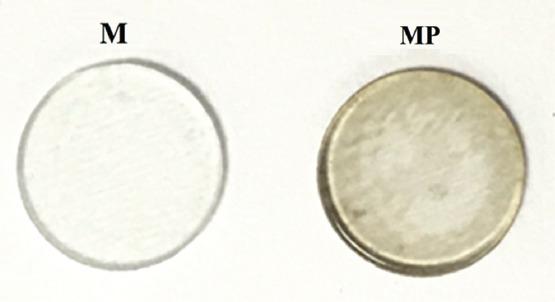 https://cdn.ncbi.nlm.nih.gov/pmc/blobs/e620/7294680/4b2705a44444/IJB-5-197-g001.jpg