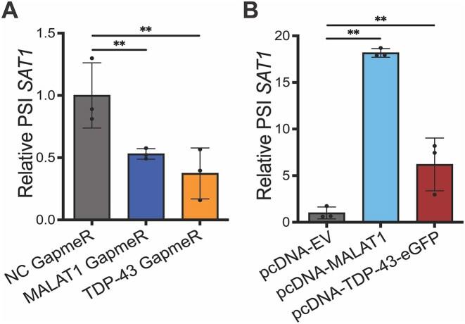 https://cdn.ncbi.nlm.nih.gov/pmc/blobs/e621/12350098/9447ef080595/gkaf784fig6.jpg