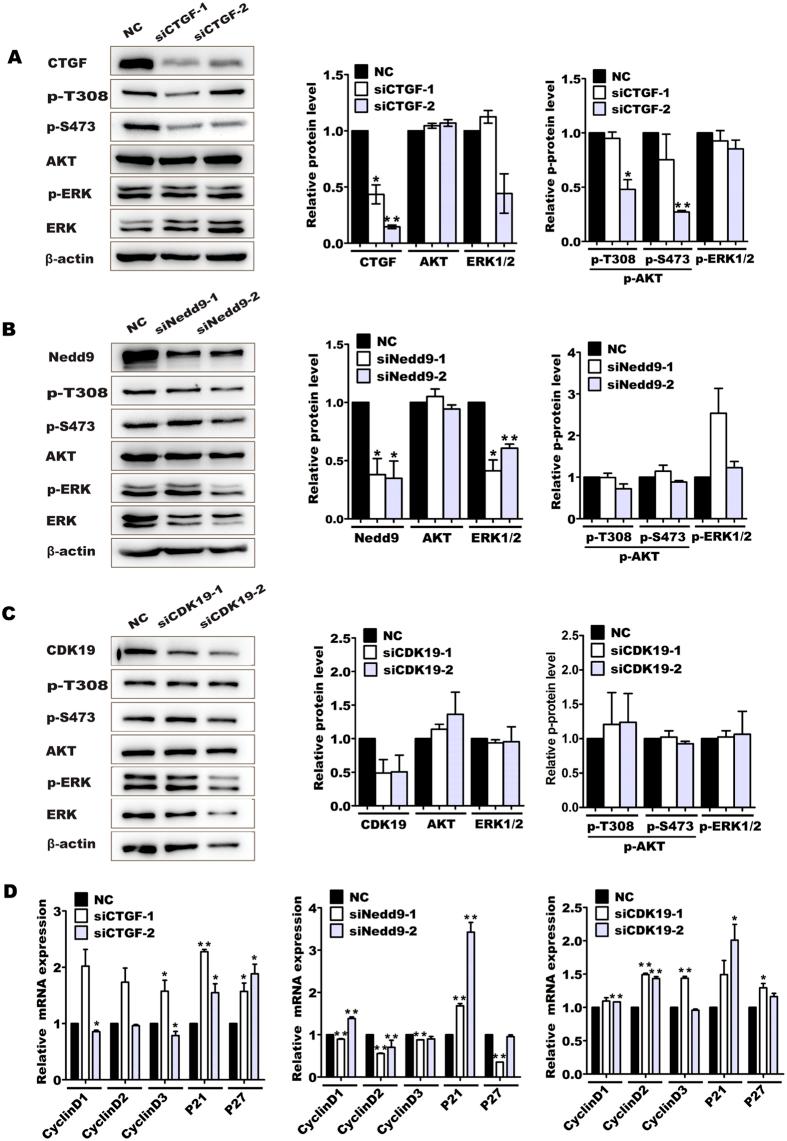 https://cdn.ncbi.nlm.nih.gov/pmc/blobs/e625/5362961/26bfe986b3d0/srep45002-f6.jpg