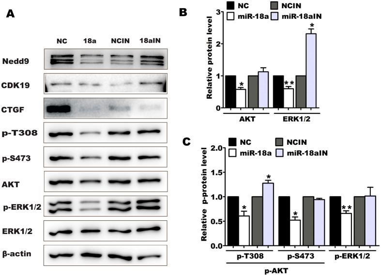 https://cdn.ncbi.nlm.nih.gov/pmc/blobs/e625/5362961/bfba33c264a8/srep45002-f5.jpg