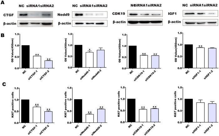 https://cdn.ncbi.nlm.nih.gov/pmc/blobs/e625/5362961/e57ca23f9c4d/srep45002-f4.jpg