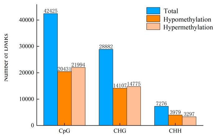 https://cdn.ncbi.nlm.nih.gov/pmc/blobs/e626/12027829/4745cb96f661/jof-11-00243-g005.jpg