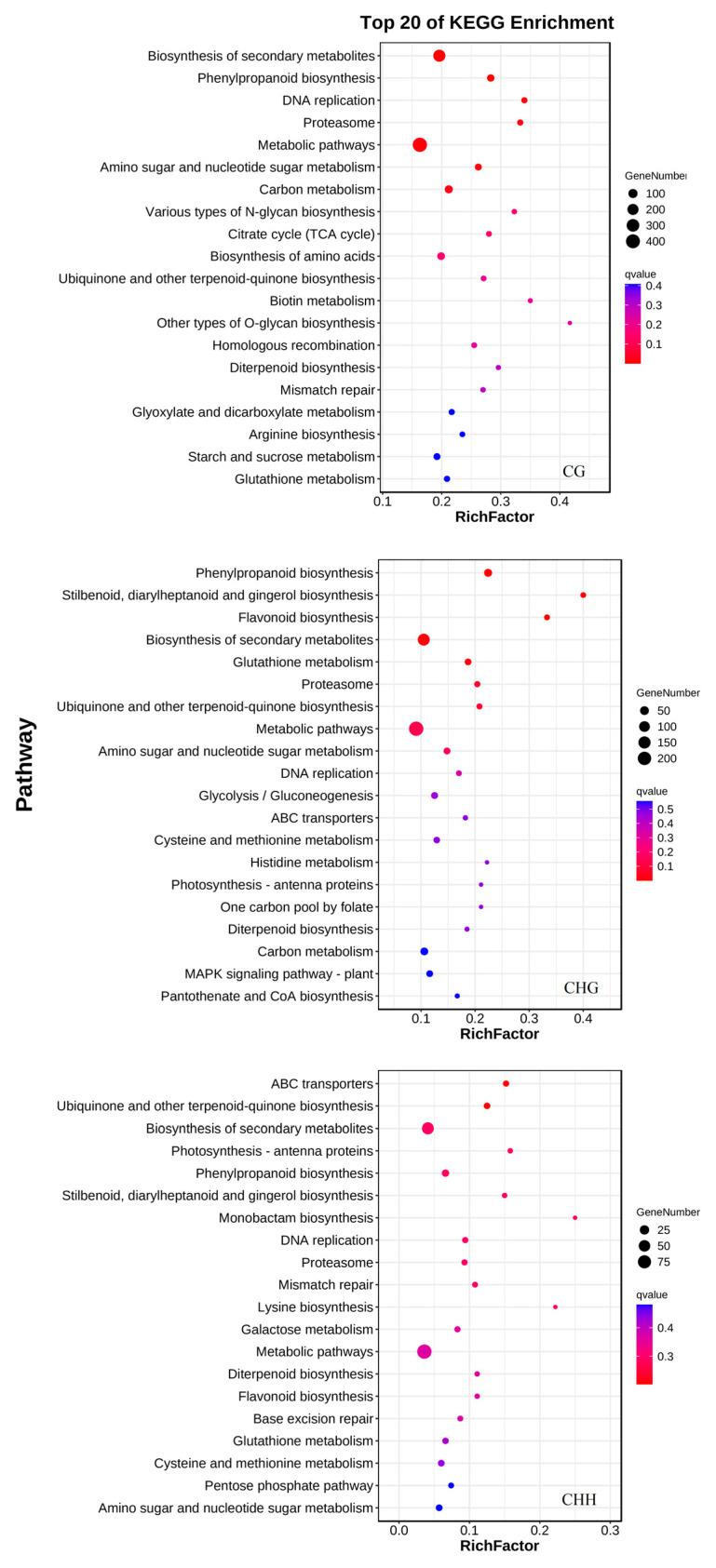 https://cdn.ncbi.nlm.nih.gov/pmc/blobs/e626/12027829/7c3876611d1e/jof-11-00243-g008.jpg