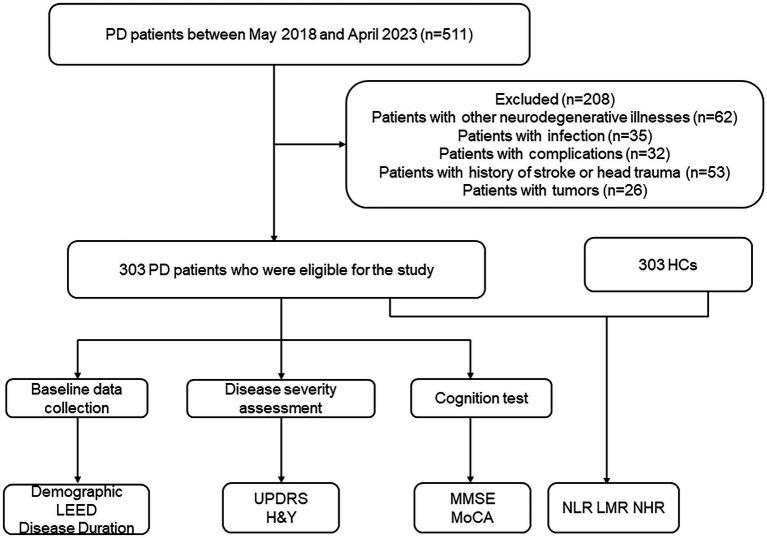 https://cdn.ncbi.nlm.nih.gov/pmc/blobs/e627/10844449/51dc89361775/fneur-15-1322228-g001.jpg