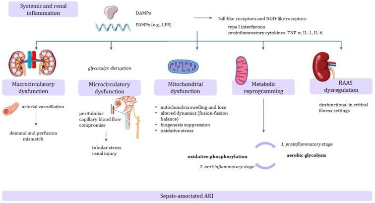 https://cdn.ncbi.nlm.nih.gov/pmc/blobs/e627/11172431/f8aa3c1758f2/ijms-25-05924-g001.jpg