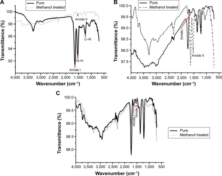 https://cdn.ncbi.nlm.nih.gov/pmc/blobs/e627/4599613/b123d3605874/ijn-10-043Fig2.jpg