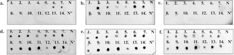 https://cdn.ncbi.nlm.nih.gov/pmc/blobs/e627/6385244/02d4b8f9358d/41598_2019_39844_Fig5_HTML.jpg