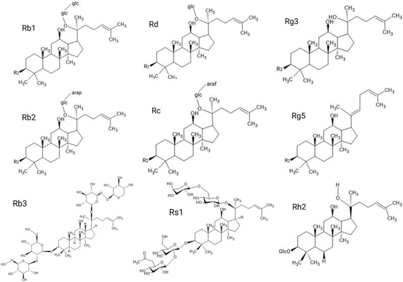 https://cdn.ncbi.nlm.nih.gov/pmc/blobs/e628/10785270/2f751d258c36/gr1.jpg