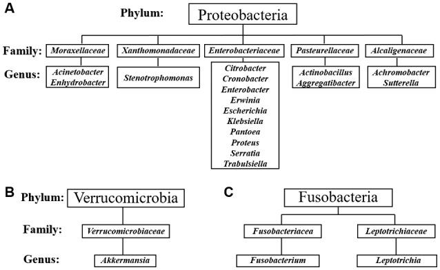 https://cdn.ncbi.nlm.nih.gov/pmc/blobs/e628/6777309/a1ae4e6227ca/etm-18-05-3461-g03.jpg