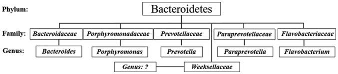 https://cdn.ncbi.nlm.nih.gov/pmc/blobs/e628/6777309/ea775dd2082f/etm-18-05-3461-g02.jpg