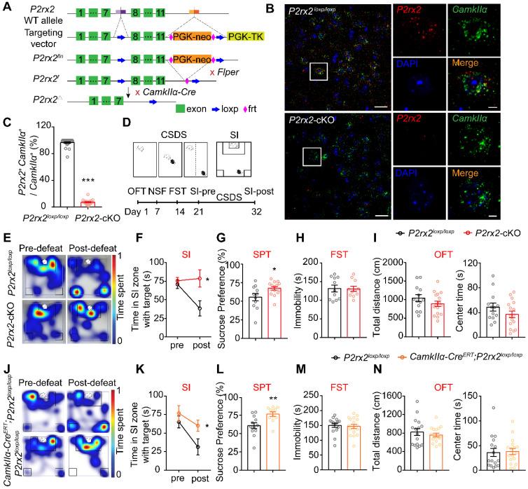 https://cdn.ncbi.nlm.nih.gov/pmc/blobs/e628/9131261/73f05657e75a/thnov12p3703g002.jpg