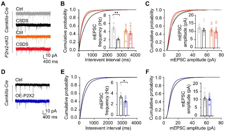 https://cdn.ncbi.nlm.nih.gov/pmc/blobs/e628/9131261/752eab013a11/thnov12p3703g005.jpg
