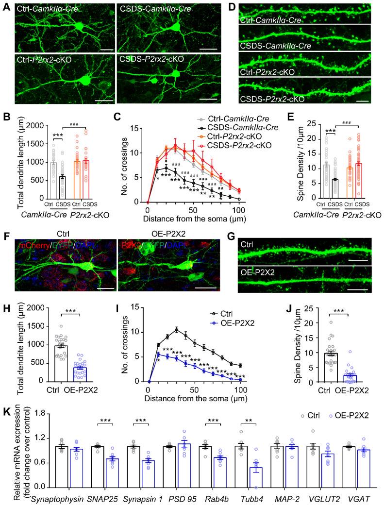 https://cdn.ncbi.nlm.nih.gov/pmc/blobs/e628/9131261/c0ff658bd8a2/thnov12p3703g006.jpg