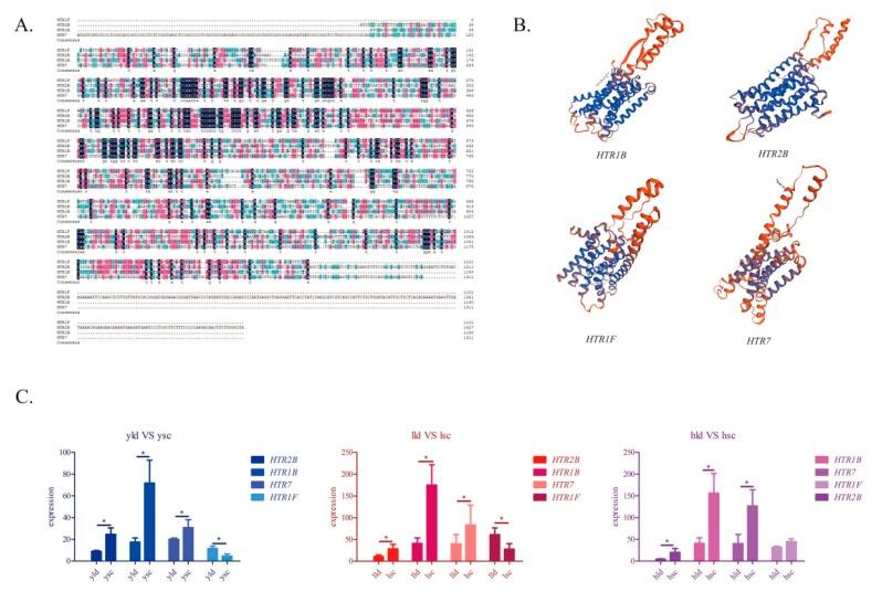 https://cdn.ncbi.nlm.nih.gov/pmc/blobs/e629/7230923/2b5031f2ac31/genes-11-00455-g006.jpg