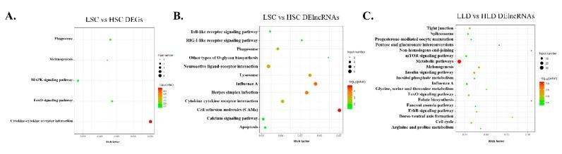 https://cdn.ncbi.nlm.nih.gov/pmc/blobs/e629/7230923/45c3e38afd39/genes-11-00455-g005.jpg