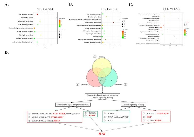 https://cdn.ncbi.nlm.nih.gov/pmc/blobs/e629/7230923/bac3a9d8b714/genes-11-00455-g003.jpg