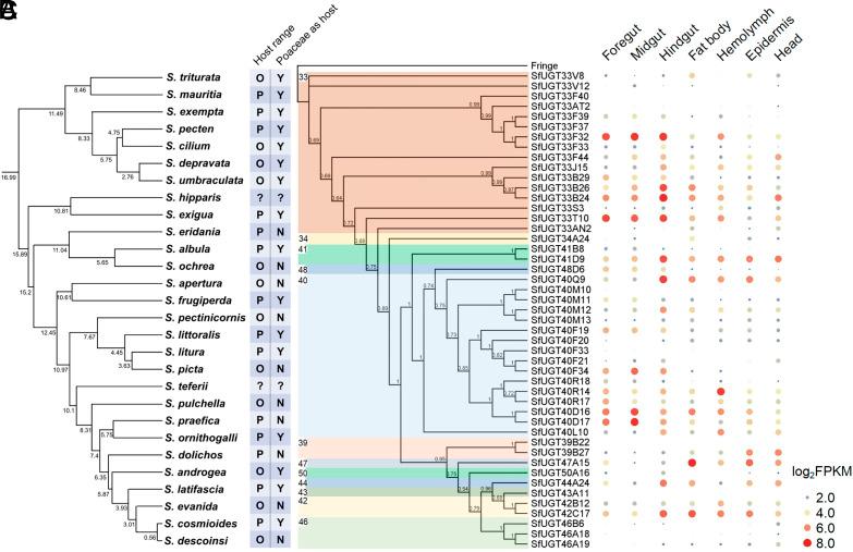 https://cdn.ncbi.nlm.nih.gov/pmc/blobs/e62b/11087754/95a94f3d15ba/pnas.2402045121fig01.jpg