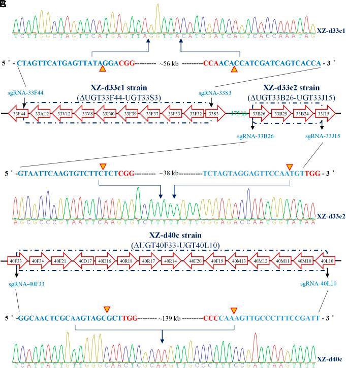 https://cdn.ncbi.nlm.nih.gov/pmc/blobs/e62b/11087754/e3bef2757e11/pnas.2402045121fig03.jpg