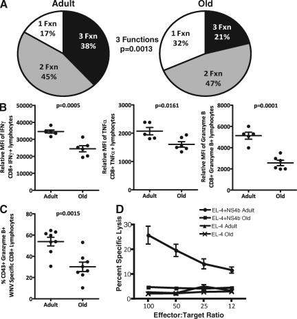 https://cdn.ncbi.nlm.nih.gov/pmc/blobs/e62f/2806630/4e2da249fc6d/JEM_20090222_GS_Fig4.jpg