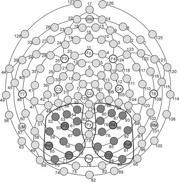 https://cdn.ncbi.nlm.nih.gov/pmc/blobs/e630/1559646/5d5e4001c1c3/1741-7007-4-23-8.jpg