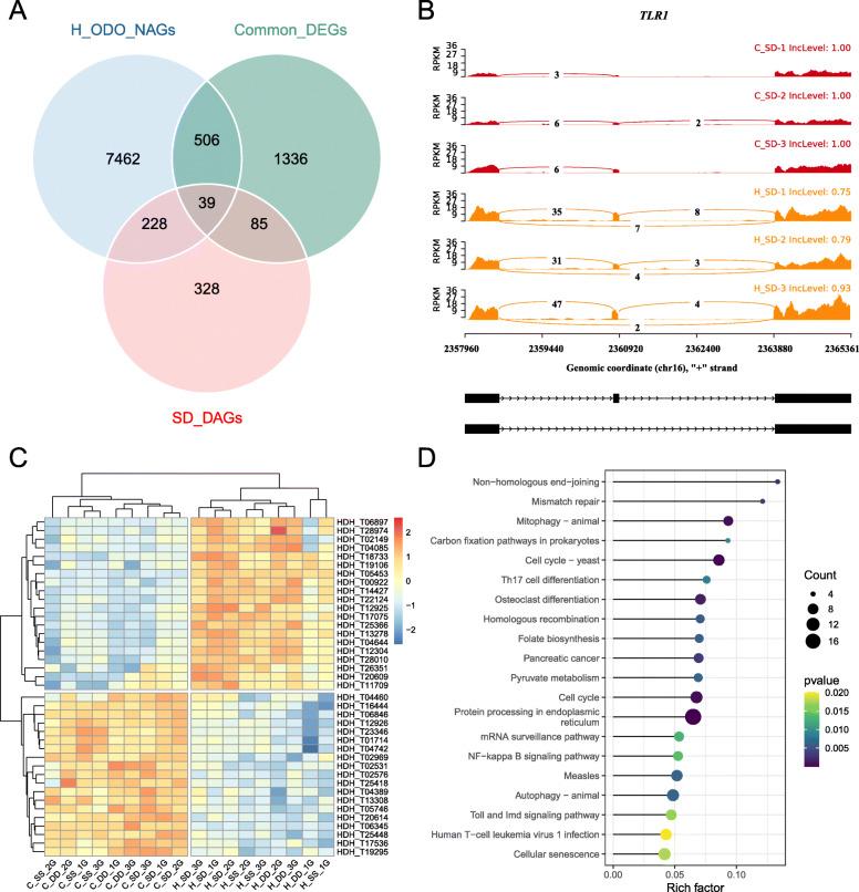 https://cdn.ncbi.nlm.nih.gov/pmc/blobs/e633/8428104/1e0c4eb9c733/12864_2021_7954_Fig6_HTML.jpg