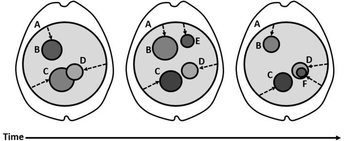 https://cdn.ncbi.nlm.nih.gov/pmc/blobs/e633/8599361/6daa13d968fd/fnhum-15-768459-g001.jpg