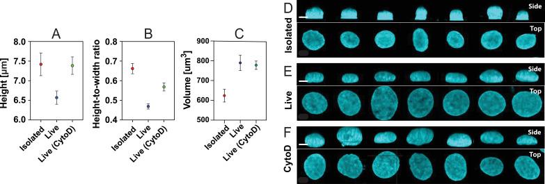 https://cdn.ncbi.nlm.nih.gov/pmc/blobs/e639/12173521/2f928401c39a/rsif.2024.0885.f005.jpg
