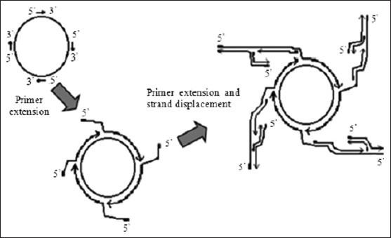https://cdn.ncbi.nlm.nih.gov/pmc/blobs/e639/3831736/31b41a51e8ad/JPBS-5-245-g005.jpg