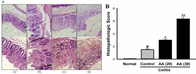 https://cdn.ncbi.nlm.nih.gov/pmc/blobs/e639/8087843/3f5cc6510295/IJBMS-24-312-g004.jpg