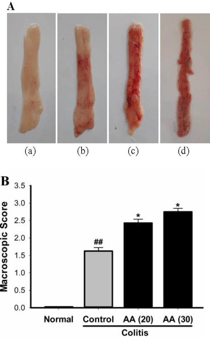 https://cdn.ncbi.nlm.nih.gov/pmc/blobs/e639/8087843/670bda589798/IJBMS-24-312-g003.jpg