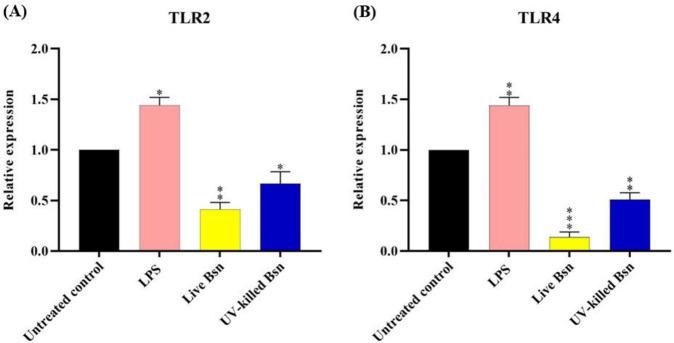 https://cdn.ncbi.nlm.nih.gov/pmc/blobs/e63c/11389770/2b060b64f2b2/IJM-16-434-g003.jpg
