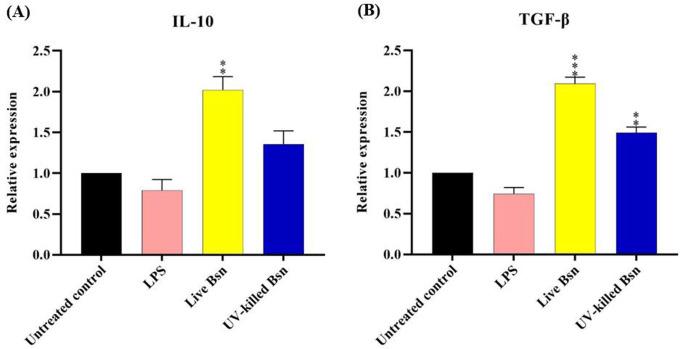 https://cdn.ncbi.nlm.nih.gov/pmc/blobs/e63c/11389770/639ae7e0186e/IJM-16-434-g002.jpg