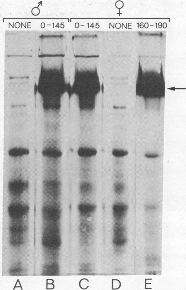 https://cdn.ncbi.nlm.nih.gov/pmc/blobs/e63c/432943/ac32b205f058/pnas00051-0343-a.jpg