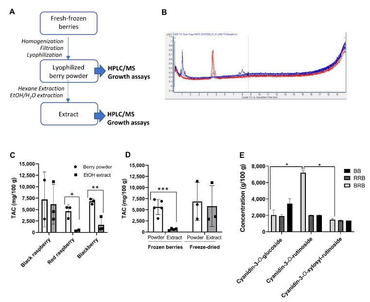 https://cdn.ncbi.nlm.nih.gov/pmc/blobs/e63c/8300682/06b92ced09f4/antibiotics-10-00845-g001.jpg