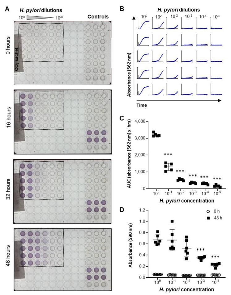 https://cdn.ncbi.nlm.nih.gov/pmc/blobs/e63c/8300682/87ae4bdc0ee2/antibiotics-10-00845-g002.jpg