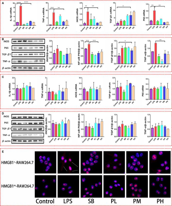 https://cdn.ncbi.nlm.nih.gov/pmc/blobs/e63e/7957162/73e77159877b/JCMM-25-2885-g001.jpg