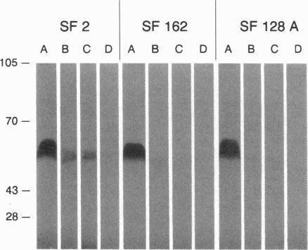 https://cdn.ncbi.nlm.nih.gov/pmc/blobs/e640/48015/e788e051f7df/pnas01531-0093-a.jpg