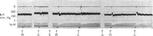 https://cdn.ncbi.nlm.nih.gov/pmc/blobs/e642/1481777/575e9183c0df/bripharmchem00046-0103-c.jpg