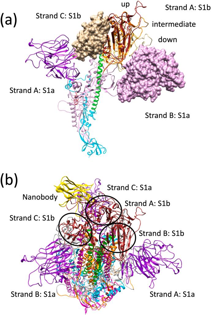 https://cdn.ncbi.nlm.nih.gov/pmc/blobs/e642/9253055/94f34c39d524/gr3.jpg