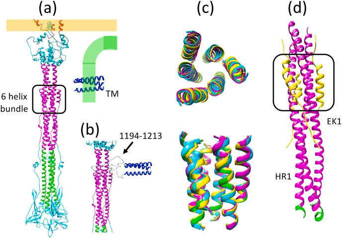 https://cdn.ncbi.nlm.nih.gov/pmc/blobs/e642/9253055/ae34ad6f4229/gr5.jpg
