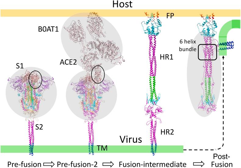 https://cdn.ncbi.nlm.nih.gov/pmc/blobs/e642/9253055/fb268d4d8da3/gr2.jpg