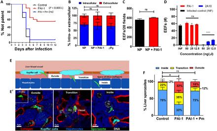 https://cdn.ncbi.nlm.nih.gov/pmc/blobs/e643/7864569/14917bfed198/abe3362-F7.jpg