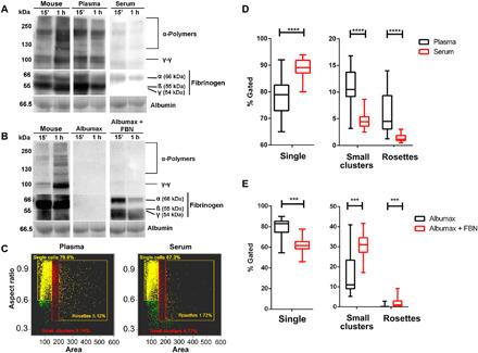 https://cdn.ncbi.nlm.nih.gov/pmc/blobs/e643/7864569/8801ce8ddb53/abe3362-F3.jpg