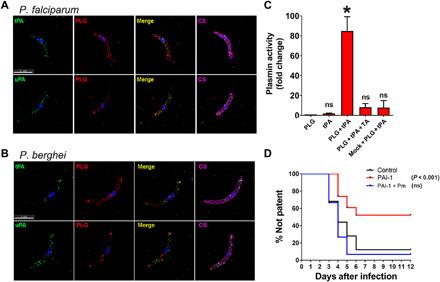 https://cdn.ncbi.nlm.nih.gov/pmc/blobs/e643/7864569/8d6d7e6584c3/abe3362-F5.jpg