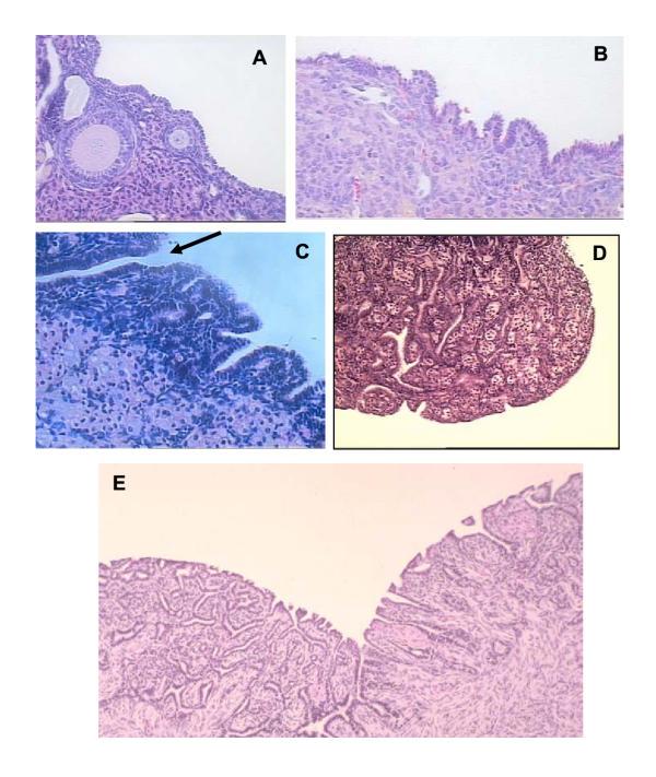 https://cdn.ncbi.nlm.nih.gov/pmc/blobs/e644/270002/9d653a3afcb7/1477-7827-1-67-2.jpg