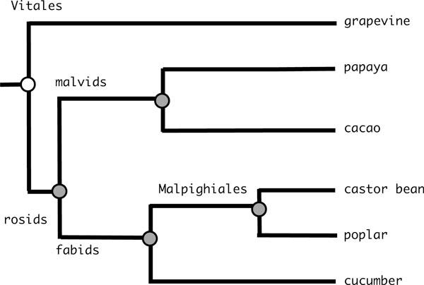 https://cdn.ncbi.nlm.nih.gov/pmc/blobs/e646/3389459/4dffdbdf85de/1471-2105-13-S10-S9-1.jpg
