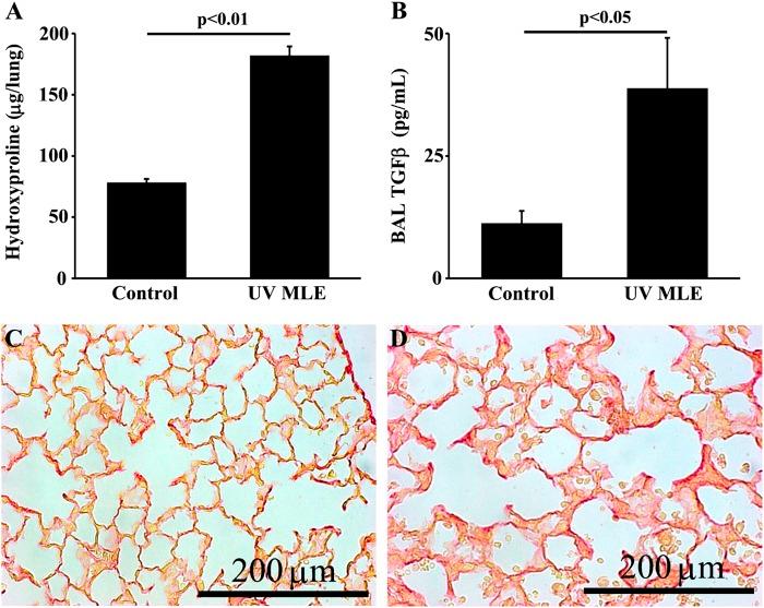 https://cdn.ncbi.nlm.nih.gov/pmc/blobs/e649/6193049/6f7805490a56/41419_2018_1074_Fig5_HTML.jpg