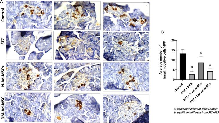https://cdn.ncbi.nlm.nih.gov/pmc/blobs/e64a/11067316/abea95dd3739/40659_2024_502_Fig5_HTML.jpg