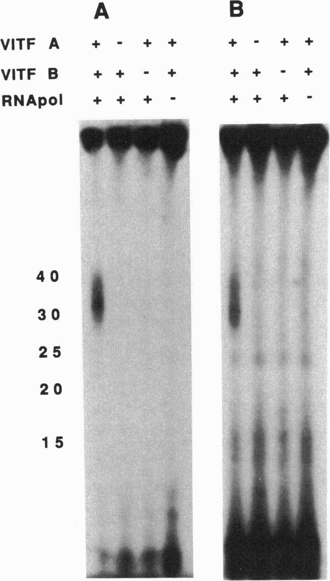 https://cdn.ncbi.nlm.nih.gov/pmc/blobs/e64b/46196/4ada57a8b7ed/pnas01466-0317-a.jpg